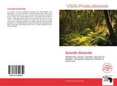 Capa do livro de Grande Outarde 