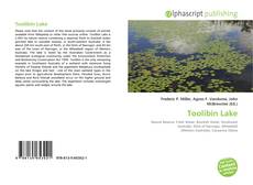 Portada del libro de Toolibin Lake