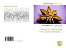 Bookcover of Benjamin Stillingfleet