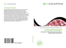 Bookcover of Festung Norwegen