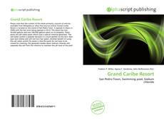 Bookcover of Grand Caribe Resort