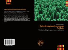 Buchcover von Dehydroepiandrosterone Sulfate