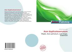 Acer duplicatoserratum kitap kapağı