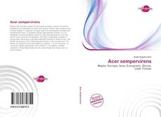 Bookcover of Acer sempervirens