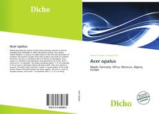 Copertina di Acer opalus