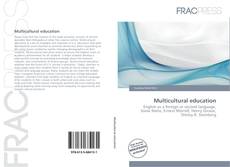 Copertina di Multicultural education