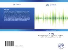 Capa do livro de Lil' Troy 