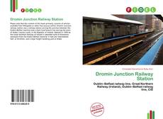 Portada del libro de Dromin Junction Railway Station