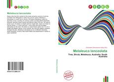 Portada del libro de Melaleuca lanceolata