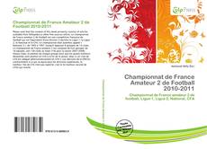 Copertina di Championnat de France Amateur 2 de Football 2010-2011