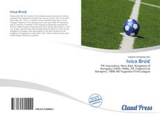 Bookcover of Ivica Brzić