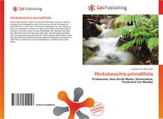 Buchcover von Hicksbeachia pinnatifolia