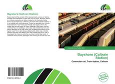 Buchcover von Bayshore (Caltrain Station)