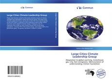 Capa do livro de Large Cities Climate Leadership Group 