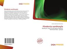 Bookcover of Flindersia xanthoxyla