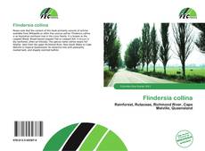 Buchcover von Flindersia collina