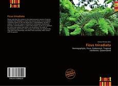 Buchcover von Ficus triradiata