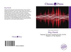 Portada del libro de Big Hawk