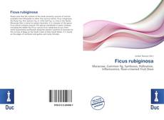 Buchcover von Ficus rubiginosa