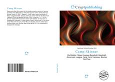 Bookcover of Camp Skinner