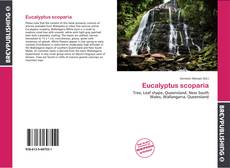 Bookcover of Eucalyptus scoparia
