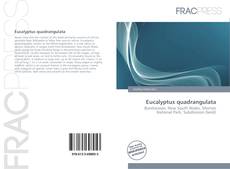 Portada del libro de Eucalyptus quadrangulata