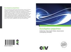 Buchcover von Eucalyptus populnea