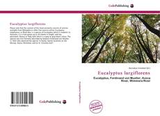 Обложка Eucalyptus largiflorens