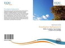 Bookcover of Eucalyptus kybeanensis