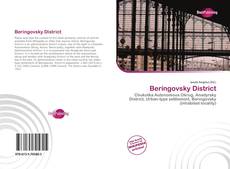 Buchcover von Beringovsky District