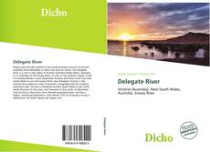 Copertina di Delegate River