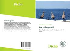 Borrelia garinii kitap kapağı