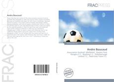 Portada del libro de Andre Boucaud