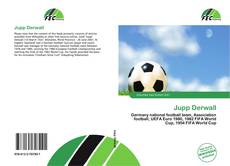 Jupp Derwall的封面