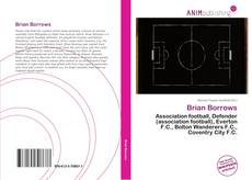 Capa do livro de Brian Borrows 