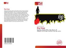 Bookcover of Big Gipp