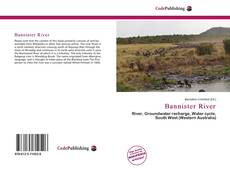 Copertina di Bannister River