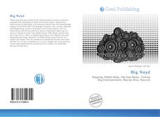 Buchcover von Big Noyd