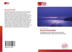 Bookcover of David Schindler