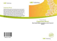 Bookcover of Capertee River