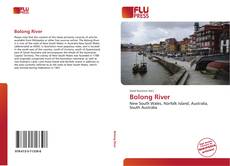 Bookcover of Bolong River