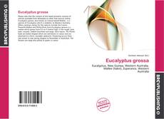 Portada del libro de Eucalyptus grossa