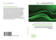 Copertina di Marsh Chapel Experiment