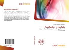 Bookcover of Eucalyptus crenulata