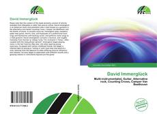 David Immerglück的封面