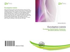 Borítókép a  Eucalyptus caesia - hoz