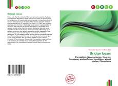 Bookcover of Bridge locus