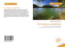 Bookcover of Eucalyptus amplifolia