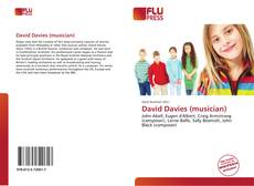 Bookcover of David Davies (musician)