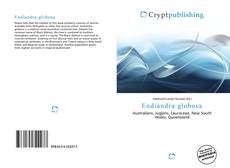 Couverture de Endiandra globosa